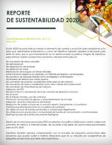 Reportes de Sustentabilidad 2020